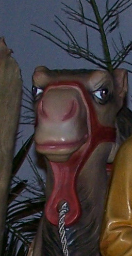 Detail: Kamel an der Issumer Krippe Detail: Kamel an der Issumer Krippe